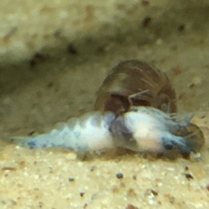 IMG_3280.jpeg