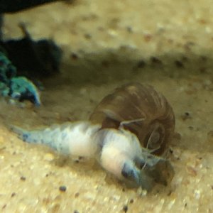IMG_3282.jpeg