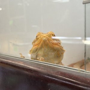 IMG_8645.jpeg
