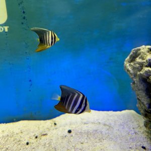 IMG_8672.jpeg