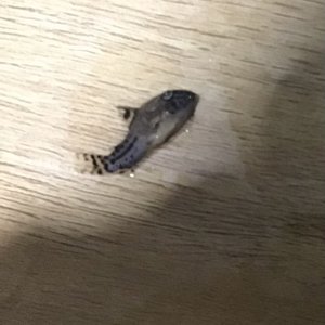 IMG_6056.jpeg