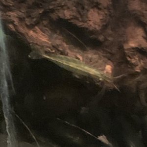 IMG_4530.jpeg