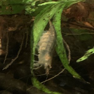 IMG_4577.jpeg