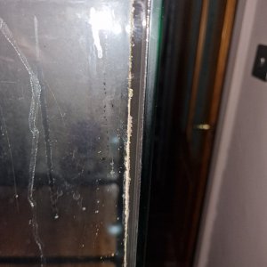 20231204_202649.jpg