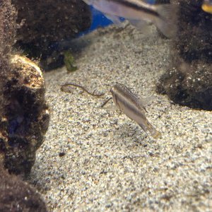 IMG_0677.jpeg