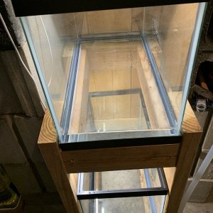 IMG_4633.jpeg