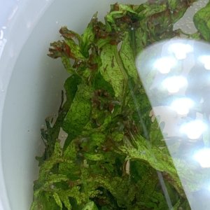 IMG_7872.jpeg