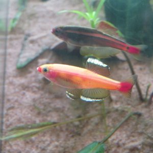 IMG_9706.jpg