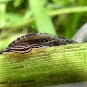 IMG_1435.jpeg