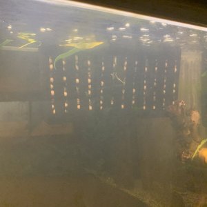 IMG_4677.jpeg