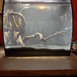 IMG_4097.jpeg