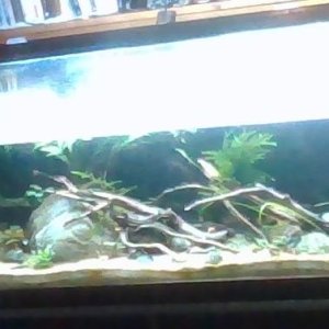 new light.jpg