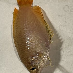 IMG_3444.JPG