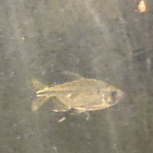 IMG_4748.jpeg