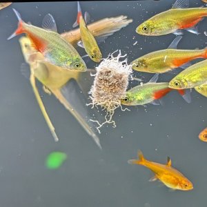 TubiflexGreenFire3.jpg