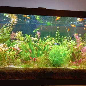 1-16-2024, photo 1.jpg