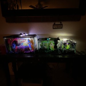 IMG_5821.jpeg
