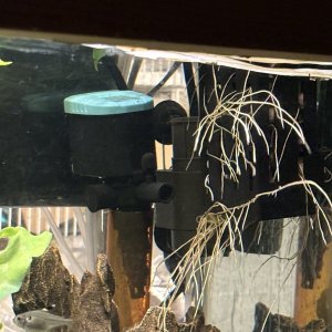 IMG_4796.jpeg