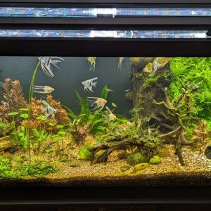 75Gal-11Jan23.jpg