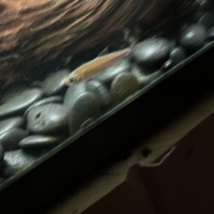 IMG_4801.jpeg