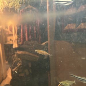 IMG_4802.jpeg