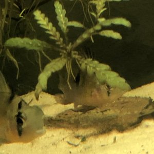 IMG_7892.jpeg