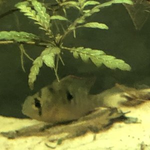 IMG_7889.jpeg