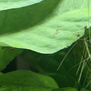 IMG_0823.jpeg