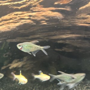 IMG_3874.jpeg