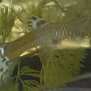 IMG_8676.jpeg