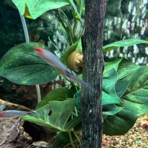IMG_4933.jpeg