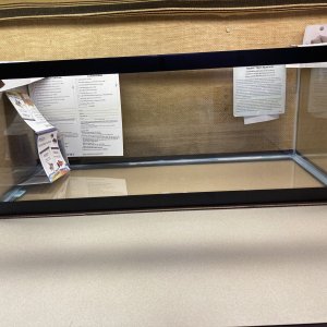 IMG_0462.jpeg