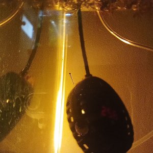 IMG20240229181139.jpg