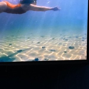 IMG_4942.jpeg