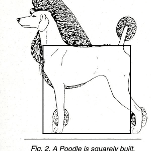 1710354630566.png