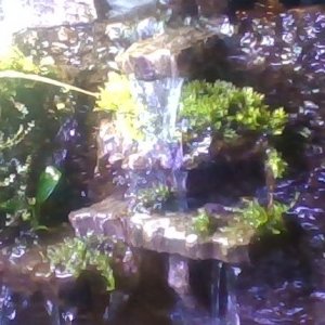 IMG_20240330_110637.jpg
