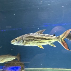 IMG_8965.jpeg