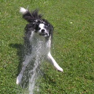 hose_fun_2.jpg