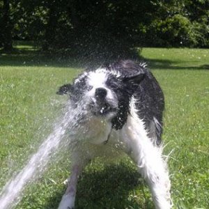 hose_fun_4.jpg