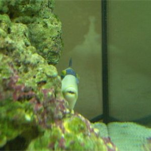 Untitled_3_copy.jpg