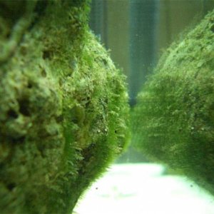 Untitled_6_copy.jpg