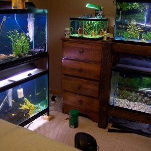 bedroom_1.jpg