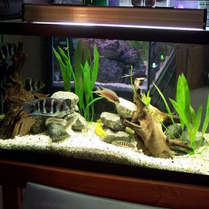 50_gallon_july25.jpg