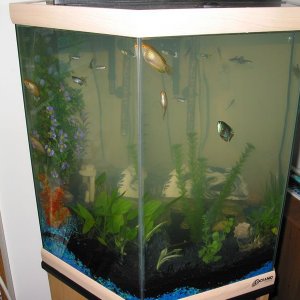 fishtank14.jpg
