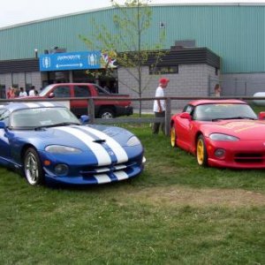 2vipers.jpg