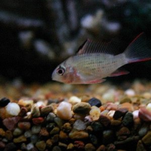 small_3830.JPG