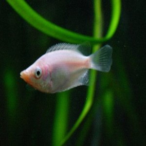 small_3832.JPG