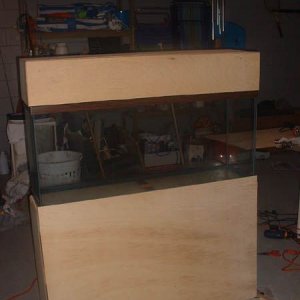 DSCF0018.JPG
