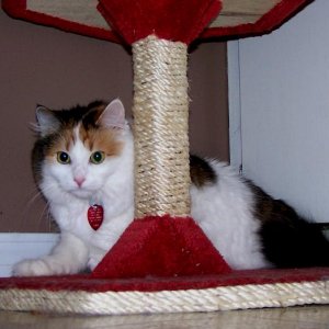 liza_aug_2__03.jpg