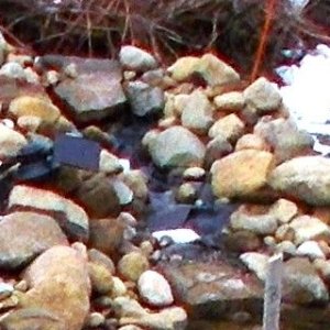 DSCN1315.JPG
